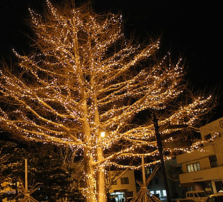 2016-12-8%E3%82%A4%E3%83%AB%E3%83%9F%20(